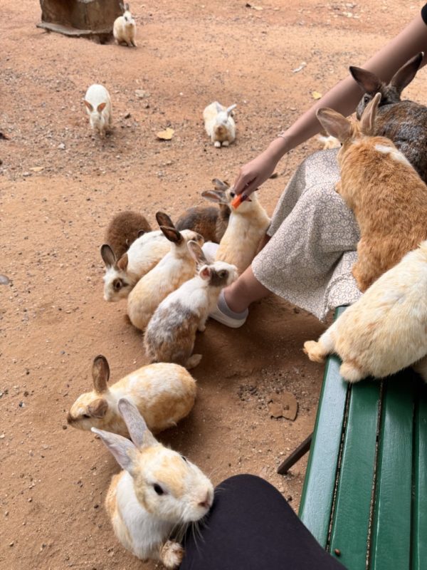 สวนสัตว์เขาใหญ่